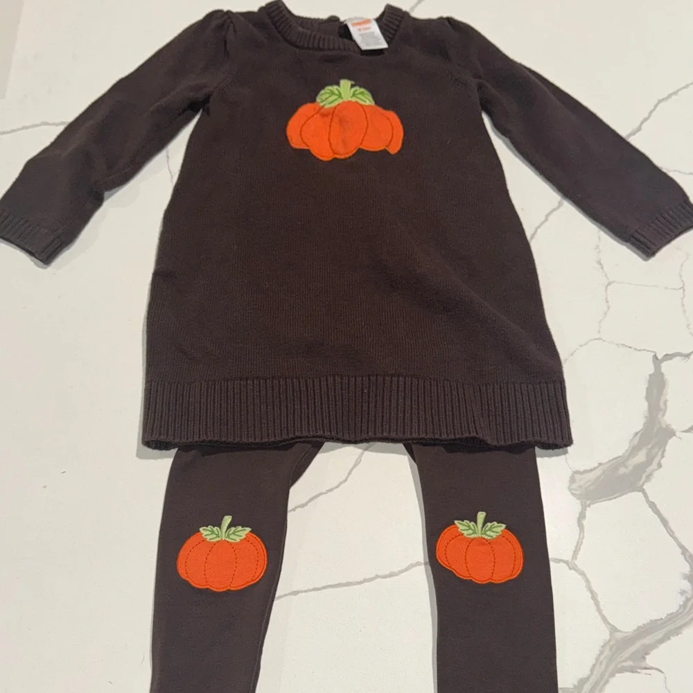Gymboree Toddler Baby Girls Outfit Sweater and Leggings 18-24M